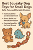 Best Squeaky Dog Toys for Small Dogs: Safe, Fun, and Durable Choices - salty nose