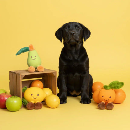 a black labrador retriever standing next to fruit shaped cute latex toys