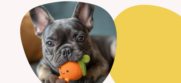 <h2>Black Friday is Here!</h2>