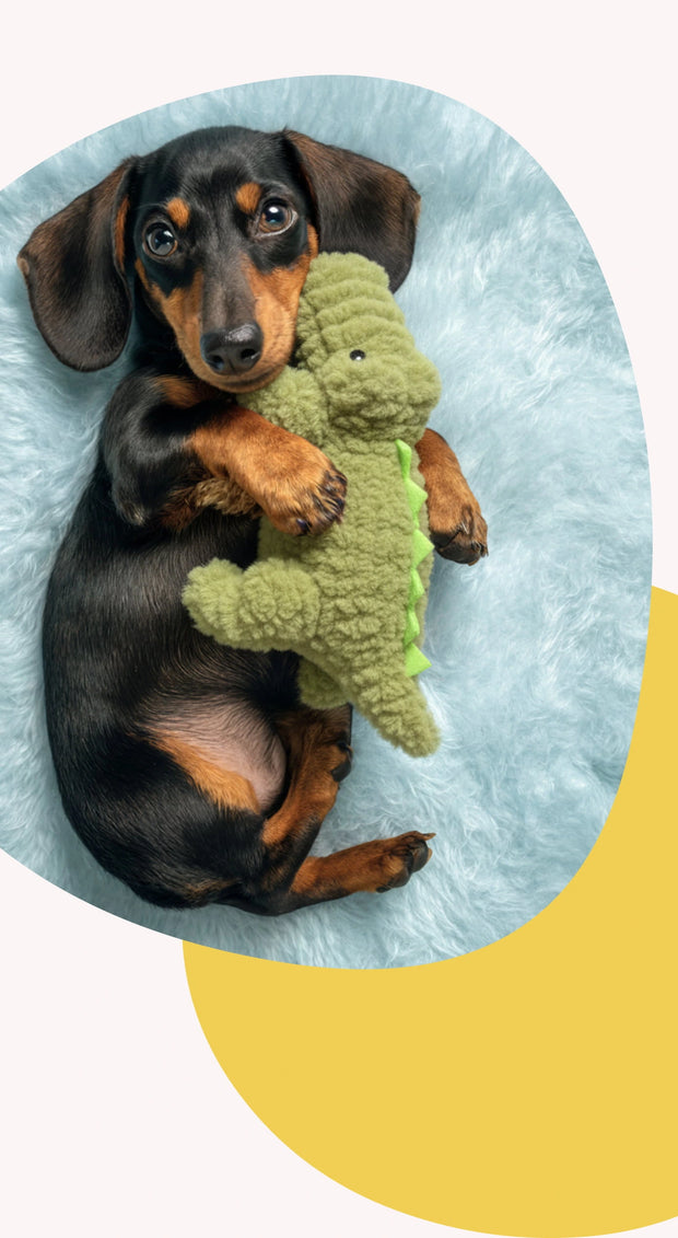 <h2>Play hard. Love harder.</h2>