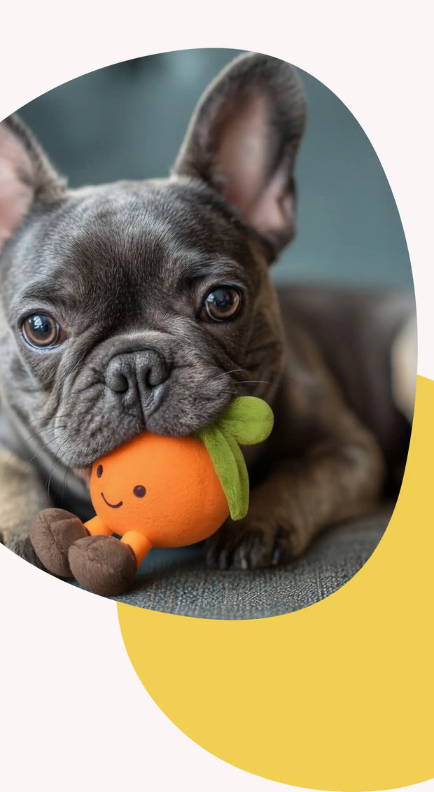 <h2>Black Friday is Here!</h2>