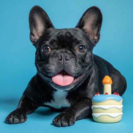 FROSTIE - salty nose