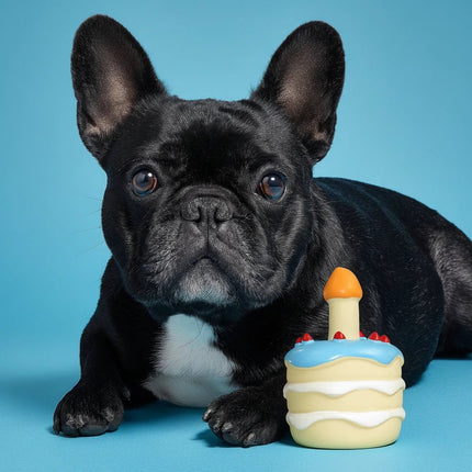 FROSTIE - salty nose