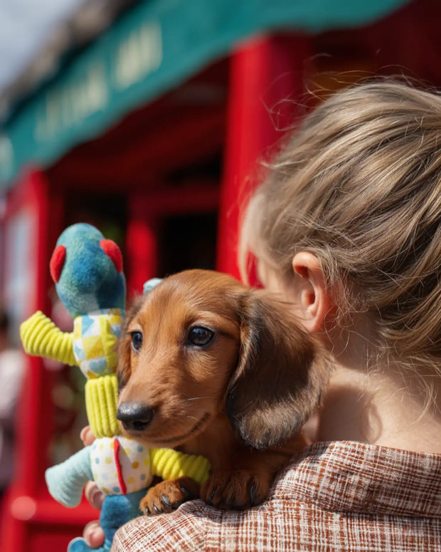 <h2><a href="/collections/plush-dog-toys" title="Plush">Plush Toys</a></h2>