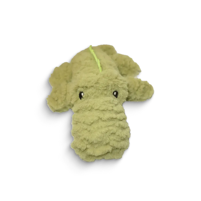 SNAPPER - salty nose