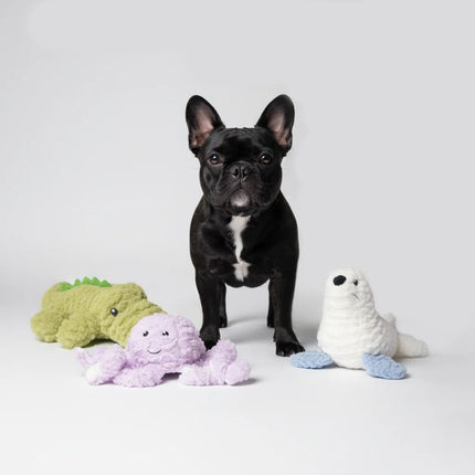 SNAPPER - salty nose