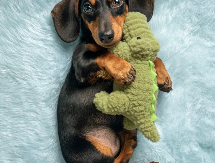 <h2>Why Salty Nose?</h2><h2>Answer: Texture.</h2>