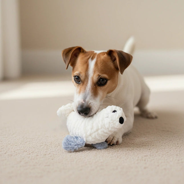 SPLASHY - salty nose