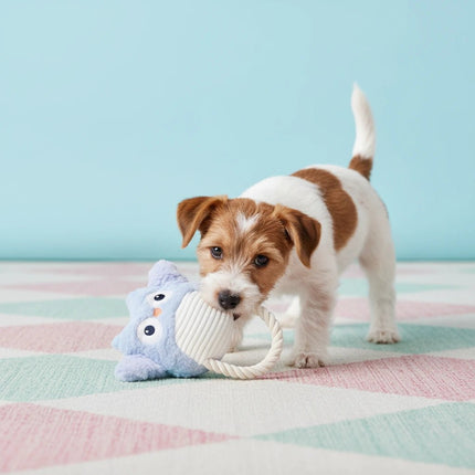 TWILIGHT - salty nose