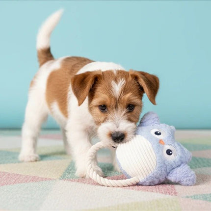 TWILIGHT - salty nose