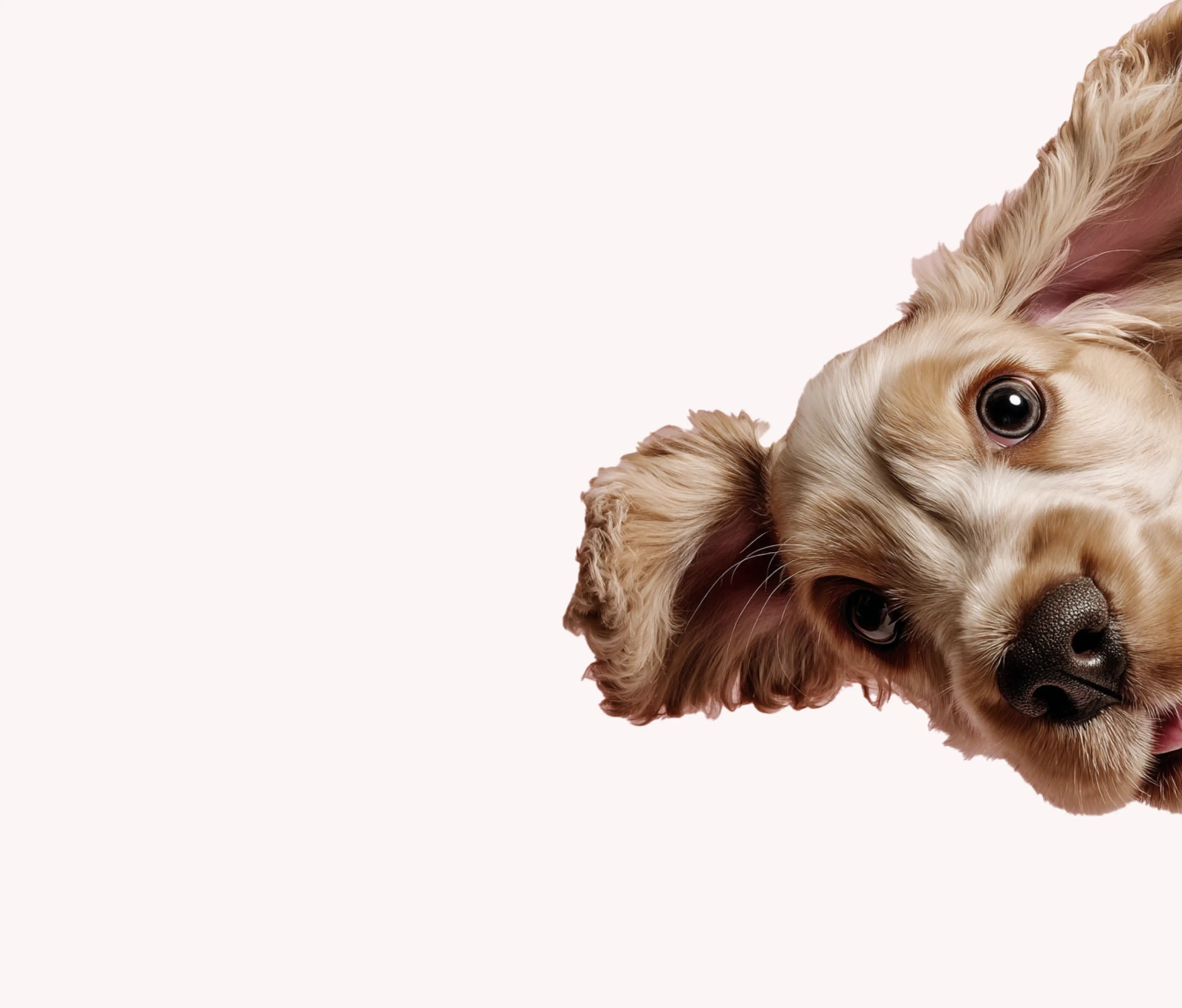 Sign up for our newsletter