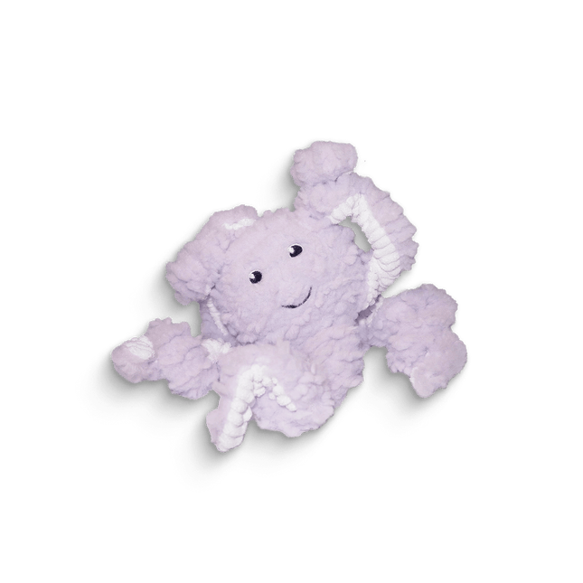 WIGGLES - salty nose