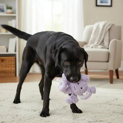 WIGGLES - salty nose